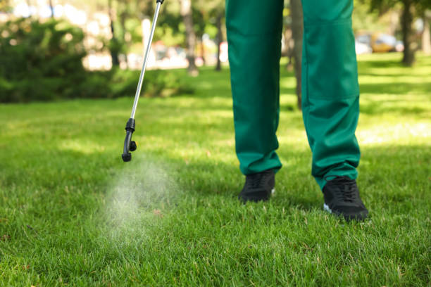 Best Wasp Removal Services  in Midway, FL