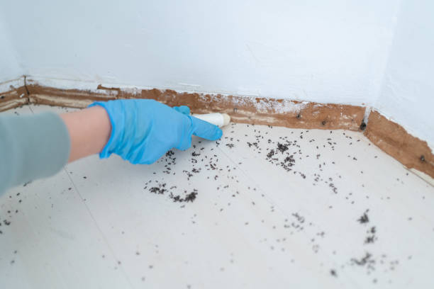 Best Pest Prevention Services  in Midway, FL