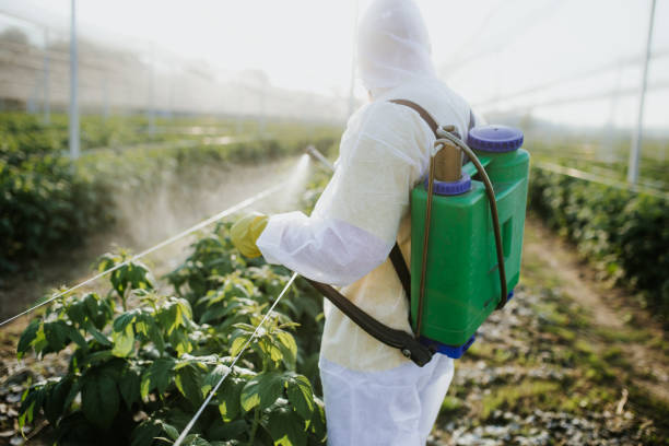 Best Insect Control  in Midway, FL
